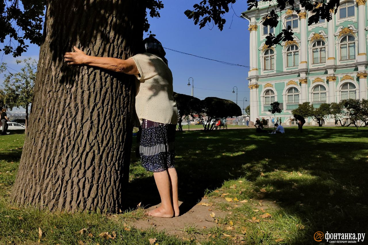 Лето не спешит прощаться