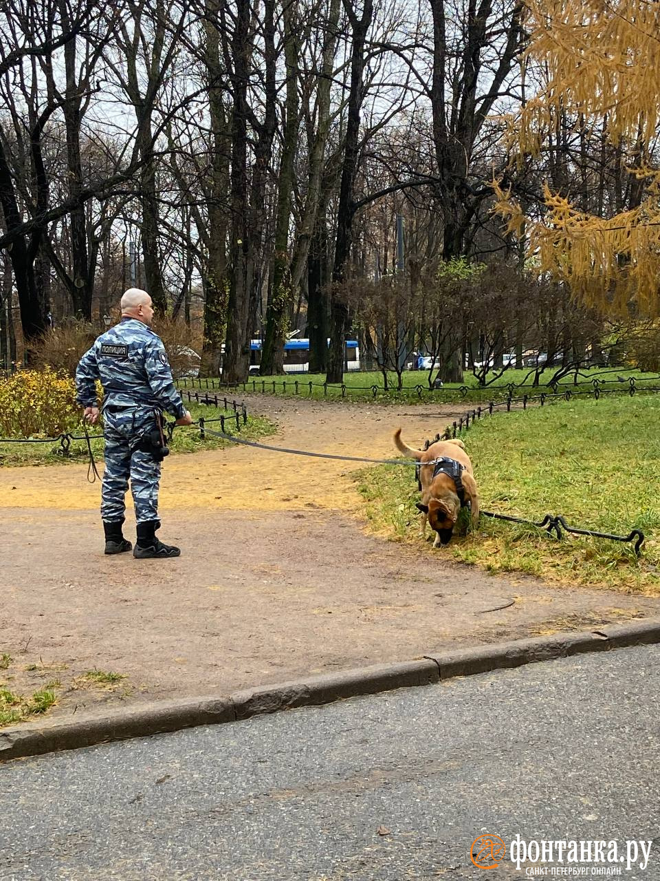 Как в Петербурге судят Дарью Трепову* за взрыв военкора Татарского: трансляция