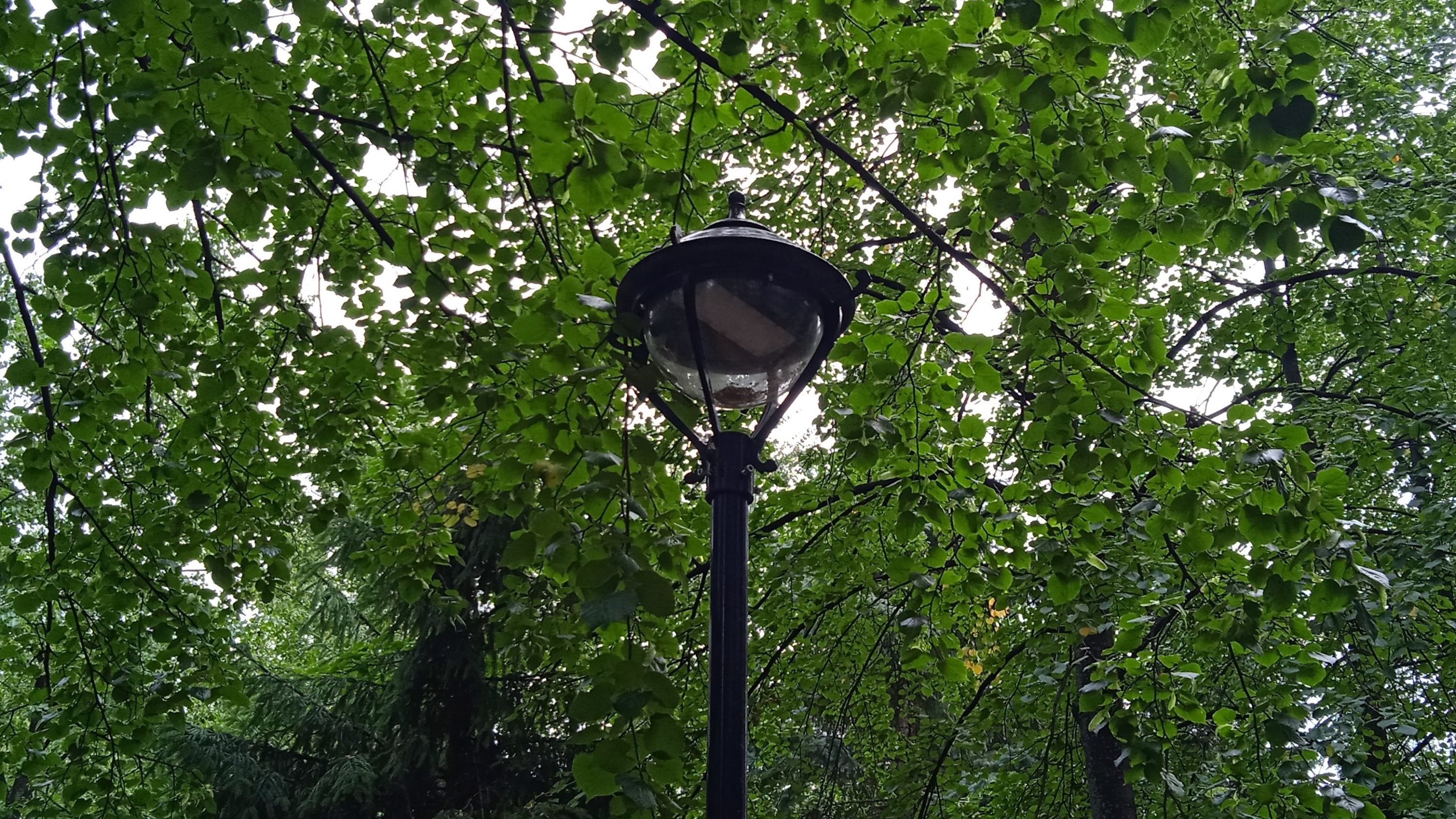 В пригороде Ульяновска отключат свет: где и на сколько