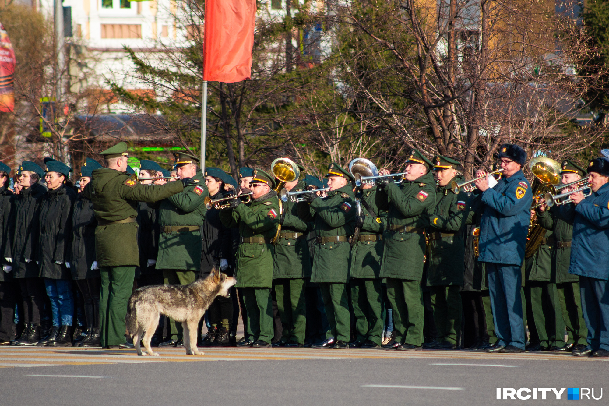 Во сколько завтра парад в минске