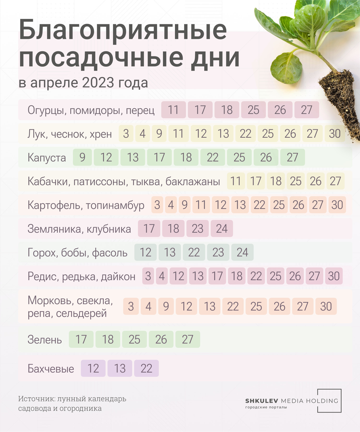 Лунный календарь рассады на 2023 год: когда лучше сажать семена в марте,  апреле, мае - 19 февраля 2023 - 74.ru