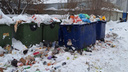 «Мусорный коллапс продолжается»: в Челябинске открыли горячую линию для жалоб на горы отходов у дома