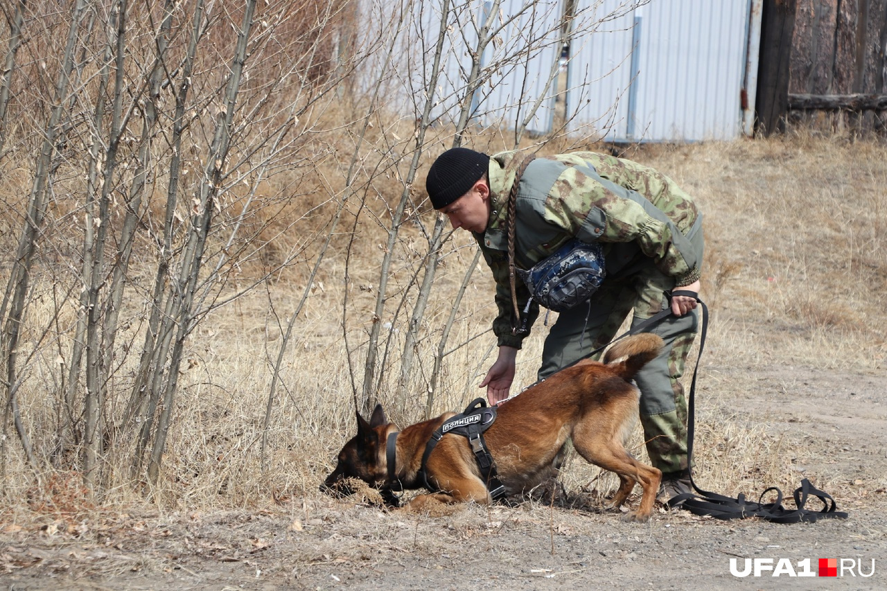 Поза замирания