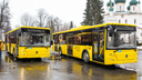 В Ярославль приехали новые желтые «Яавтобусы». Рассматриваем их изнутри — фотообзор