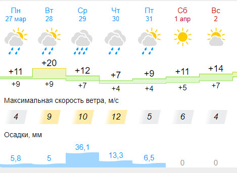 Так выглядит прогноз погоды в Сочи на ближайшую неделю