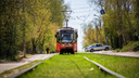 В Иркутске создадут программу развития городского электротранспорта. Что это такое и сколько денег потратят на проект?