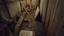 «Текут реки». В новосибирской пятиэтажке несколько месяцев топит подвал — видео с огромными лужами