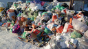 В Челябинске для вывоза мусора с переполненных контейнерных площадок вывели дополнительную технику