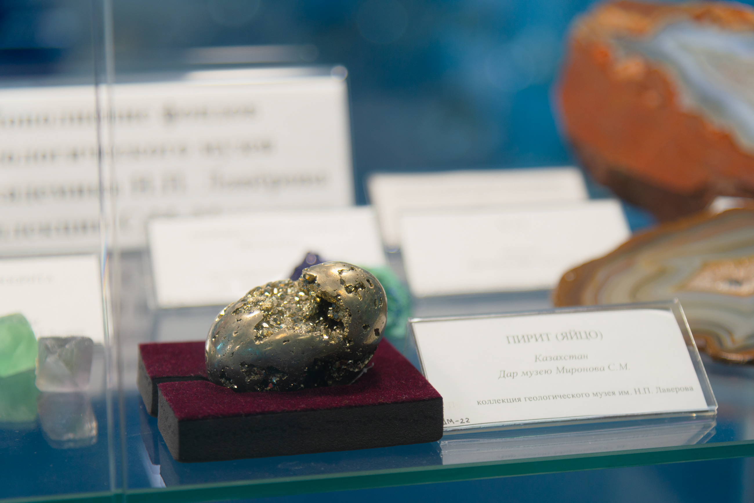 Один из подарков «музею» от Сергея Миронова — пирит. Камень еще называют «золото дураков». Внешне он очень напоминает золото, но при воздействии внешних факторов покрывается ржавчиной