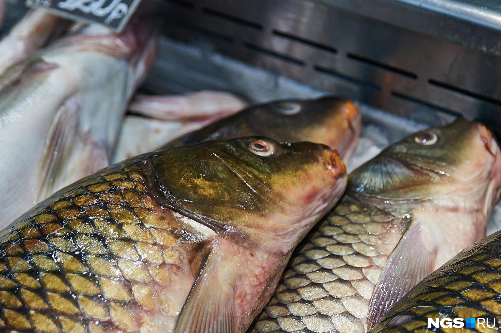 Рыба массово погибла на озере Капитанском в Борзинском районе