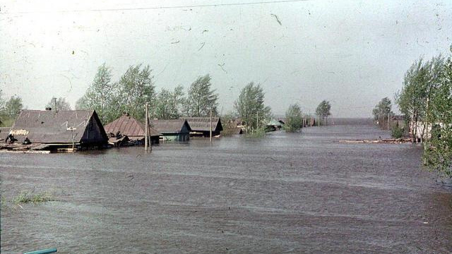 «Сидели на крыше с большими крысами»: воспоминания тюменки о страшном наводнении <nobr class="_">1979 года</nobr>