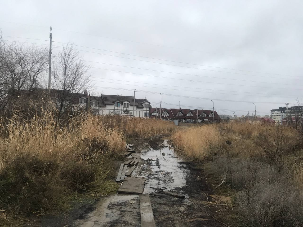 По такой дороге Марине Кеслер приходилось каждый день, ходить в университет По такой дороге Марине Кеслер приходилось каждый день, ходить в университет