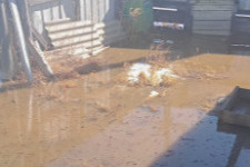 Вода 4 дня подтапливает двор женщины-инвалида в селе Забайкалья
