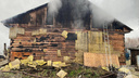 Названа возможная причина пожара в новосибирском конном клубе, где погибли 17 лошадей