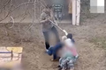 ����� ��������, ��� ������ ���������������, ������� ����� ������� �� ����� �������� � ������� ���� � �������������