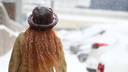В Новосибирскую область пришел мороз до -35 градусов — карта самых холодных районов