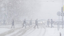 «Порывы до <nobr class="_">25 м/с</nobr>, снегопад и гололед»: в Новосибирской области объявили штормовое предупреждение