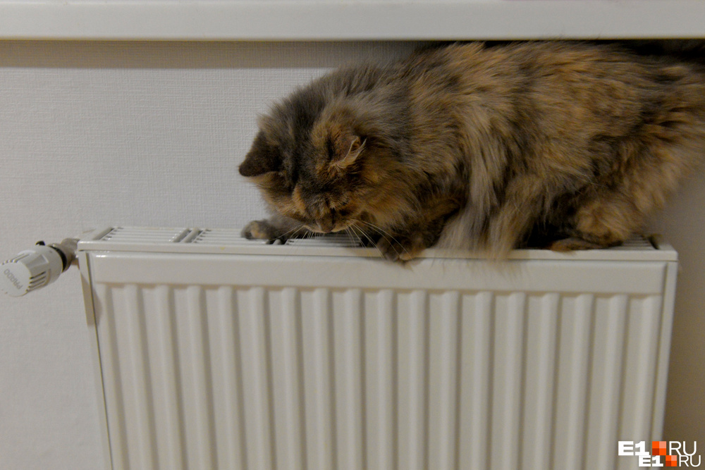«Сколько мы еще будем жариться дома?» Стало известно, когда в Екатеринбурге наконец отключат отопление