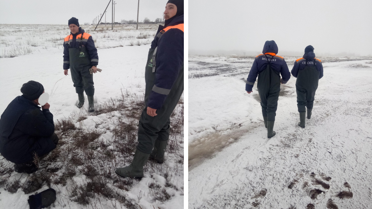 Отрезало от береговой линии: в Новосергиевском районе спасали двоих мужчин, один погиб