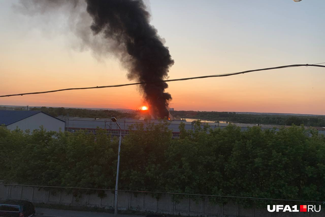 От самой волги шел он не сгорая