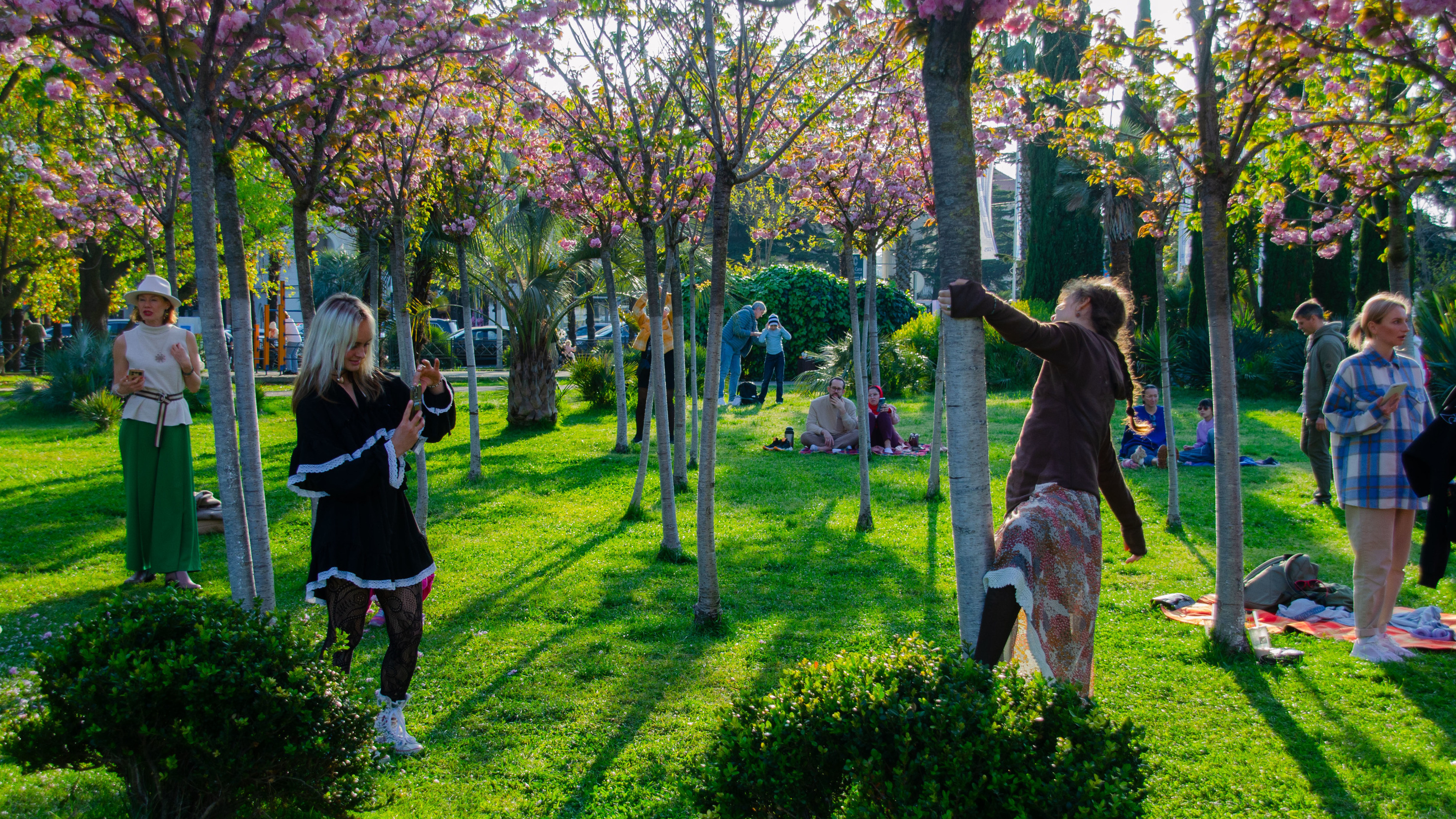 Наш ответ парку Галицкого: жители Сочи показали самое фотографируемое место в городе