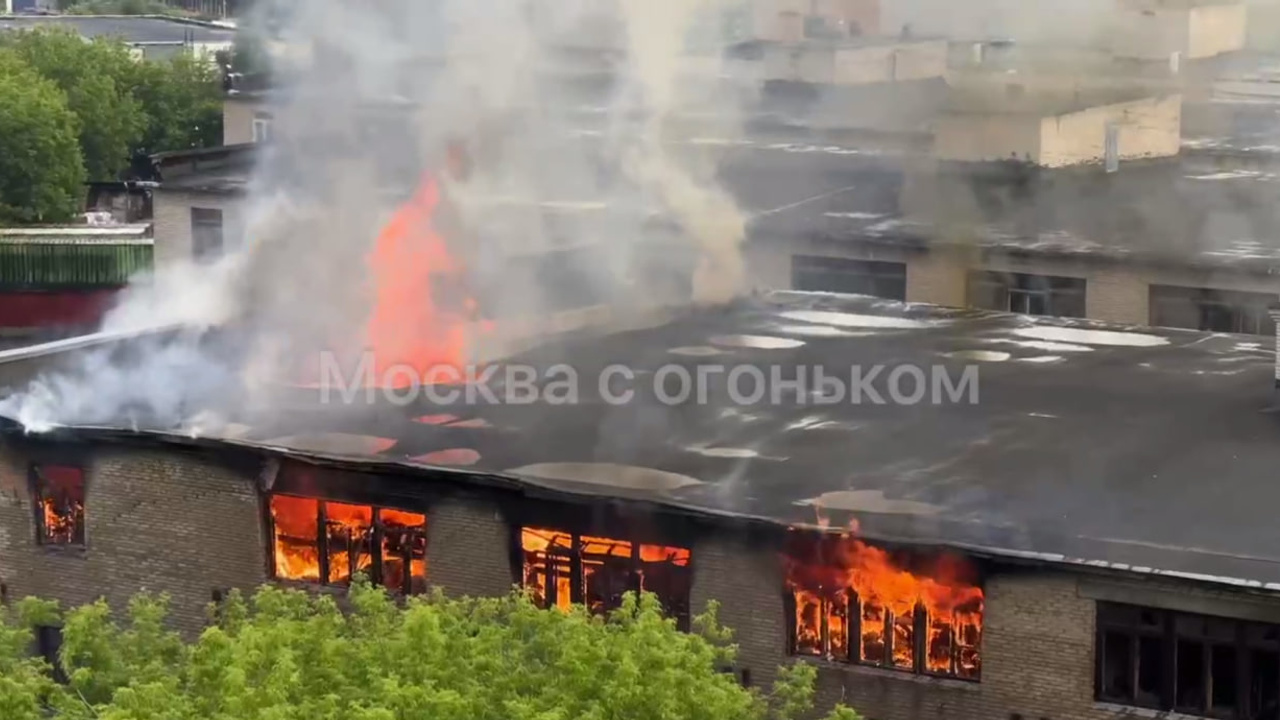 Юг Москвы: последние новости на сегодня, самые свежие сведения | МСК1.ру -  новости Москвы