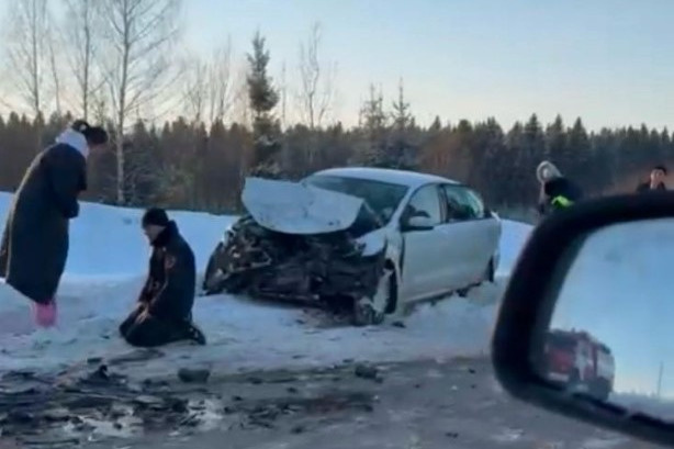 Снял полуголую ночную бабочку на зимней трассе