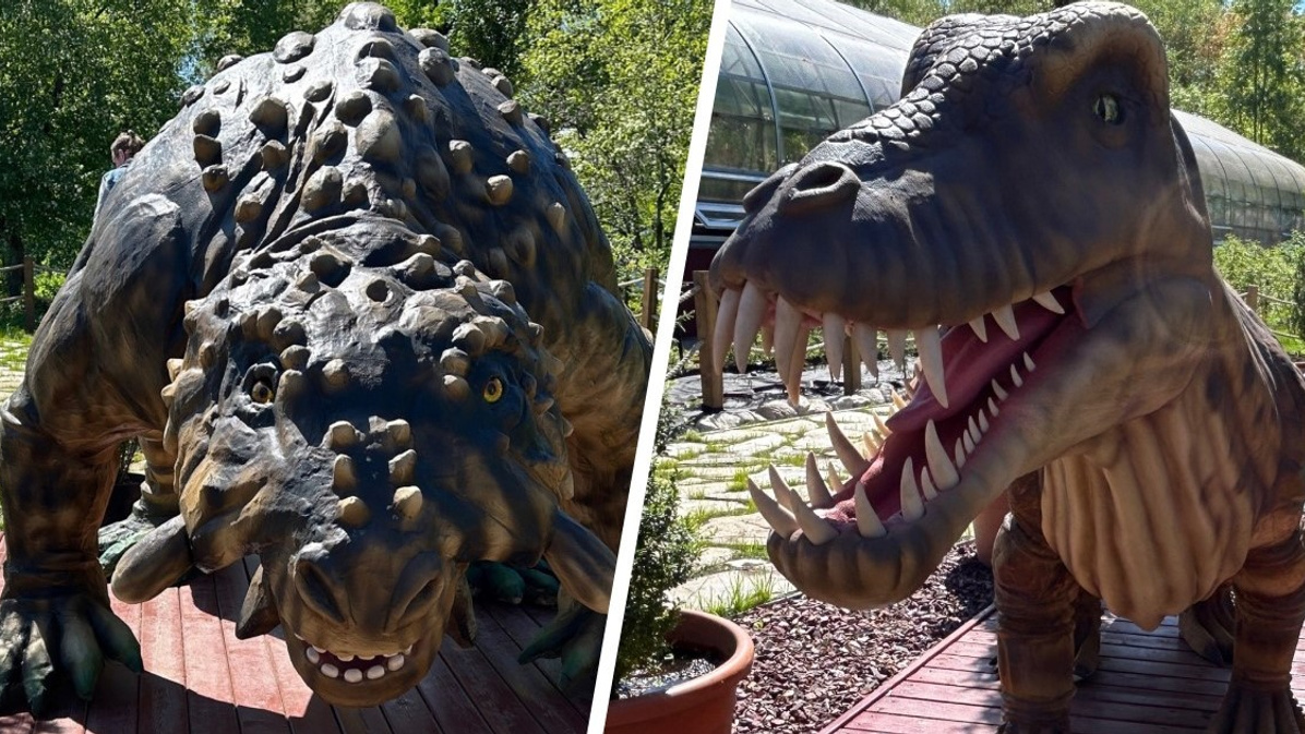 От «титанического убийцы» до «пермского бегемота»: в ПГНИУ открыли парк с фигурами звероящеров — фото