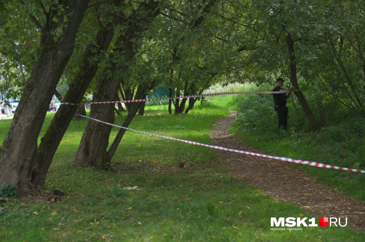 Следователи работают на месте падения беспилотника на западе Москвы, место  оцеплено, Карамышевская набережная перекрыта, фото - 11 августа 2023 -  ФОНТАНКА.ру