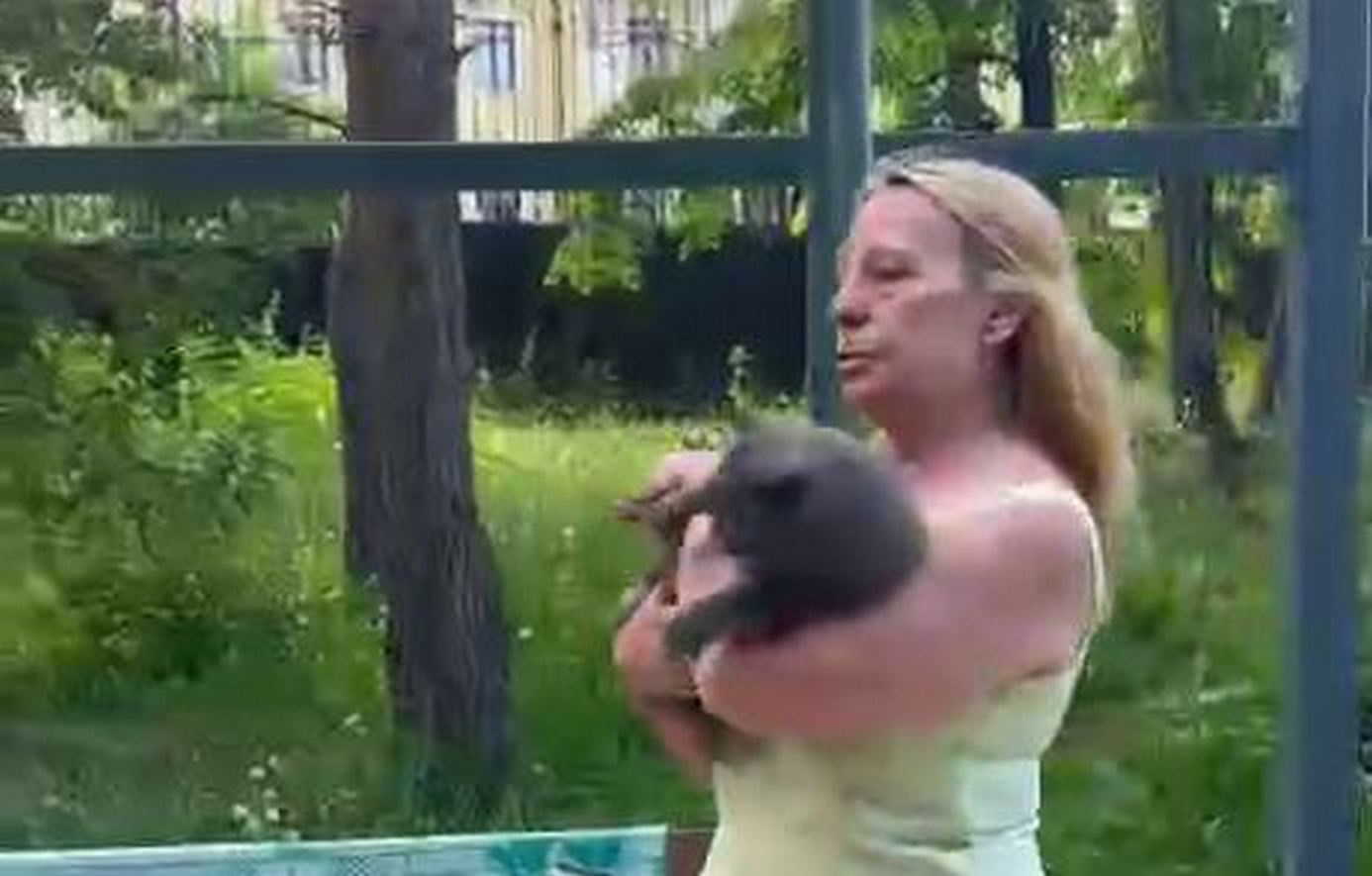 «Тут мой кот будет качаться!» В Екатеринбурге прохожая напала на девушек из-за места на лавке
