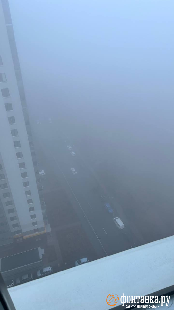 Шкваловый ворот, редкого цвета закат и молочный туман — как менялся Петербург за несколько часов