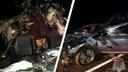 На трассе в Уренском районе машина врезалась в лося: дети выжили, их родители — погибли