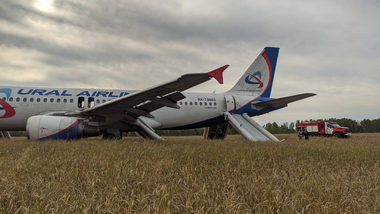 Самолет Сочи — Омск экстренно сел в поле в Новосибирской области