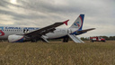 Самолет Сочи — Омск экстренно сел в поле в Новосибирской области