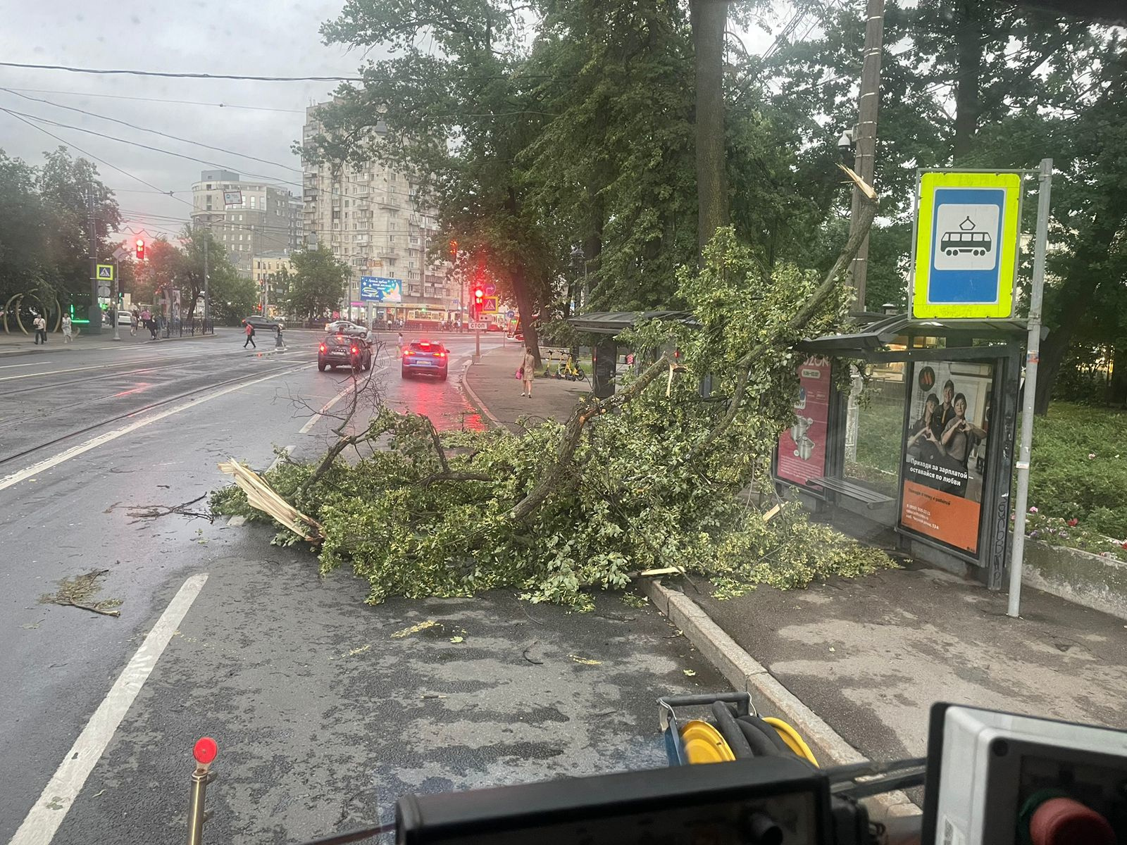 Серия сильнейших штормов повалила в Петербурге почти 600 деревьев за неделю  | 08.07.2024 | Санкт-Петербург - БезФормата