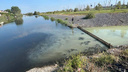 «Дохлая рыба плавает». Жители района в Батайске пожаловались на грязную воду в канале и озере