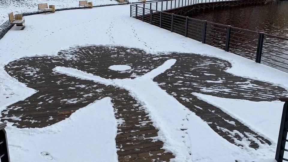 «В память о Древархе»: на набережной Архангельска появился большой символ дерева