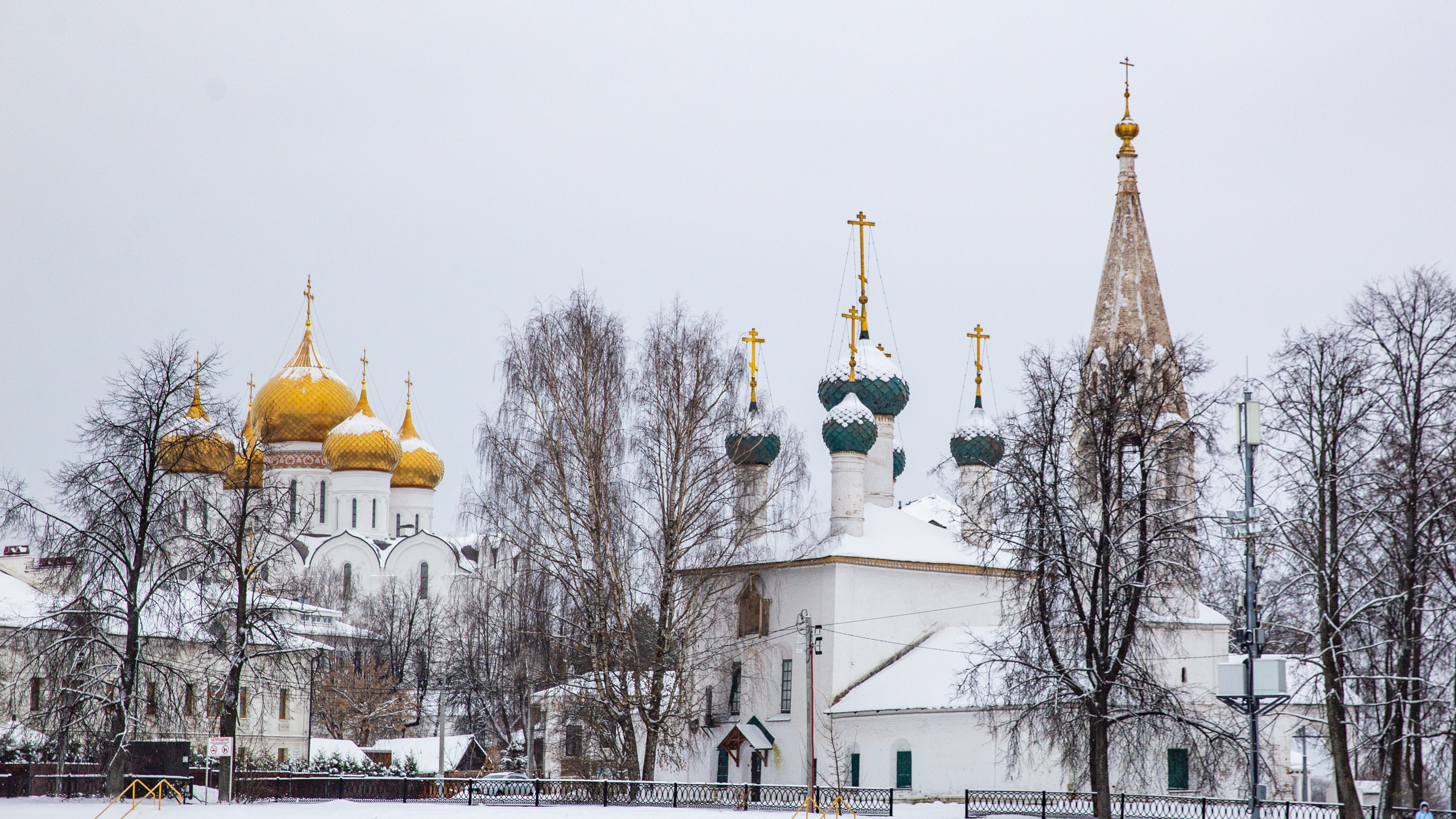 Купание под натиском непогоды: в Крещение Ярославль засыплет снегом