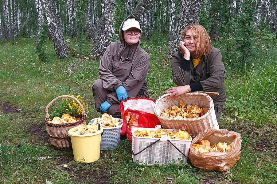 Две екатеринбурженки набрали в лесу 150 литров грибов. Пару дней назад они привезли оттуда еще больше