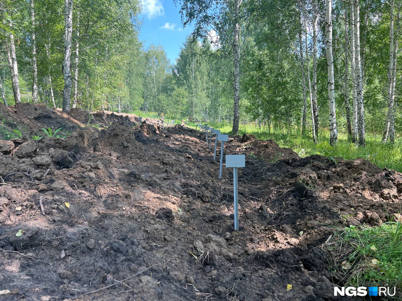 Генерал Бастрыкин заинтересовался свежими могилами в лесу Новосибирска — следователей уже отправили на погост