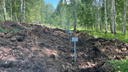 Грибник нашел десятки могил в новосибирском лесу — мэрия говорит, что там им и место