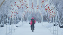 Термометры с -42 градуса: в понедельник утром в Новосибирскую область пришел мороз — хроника