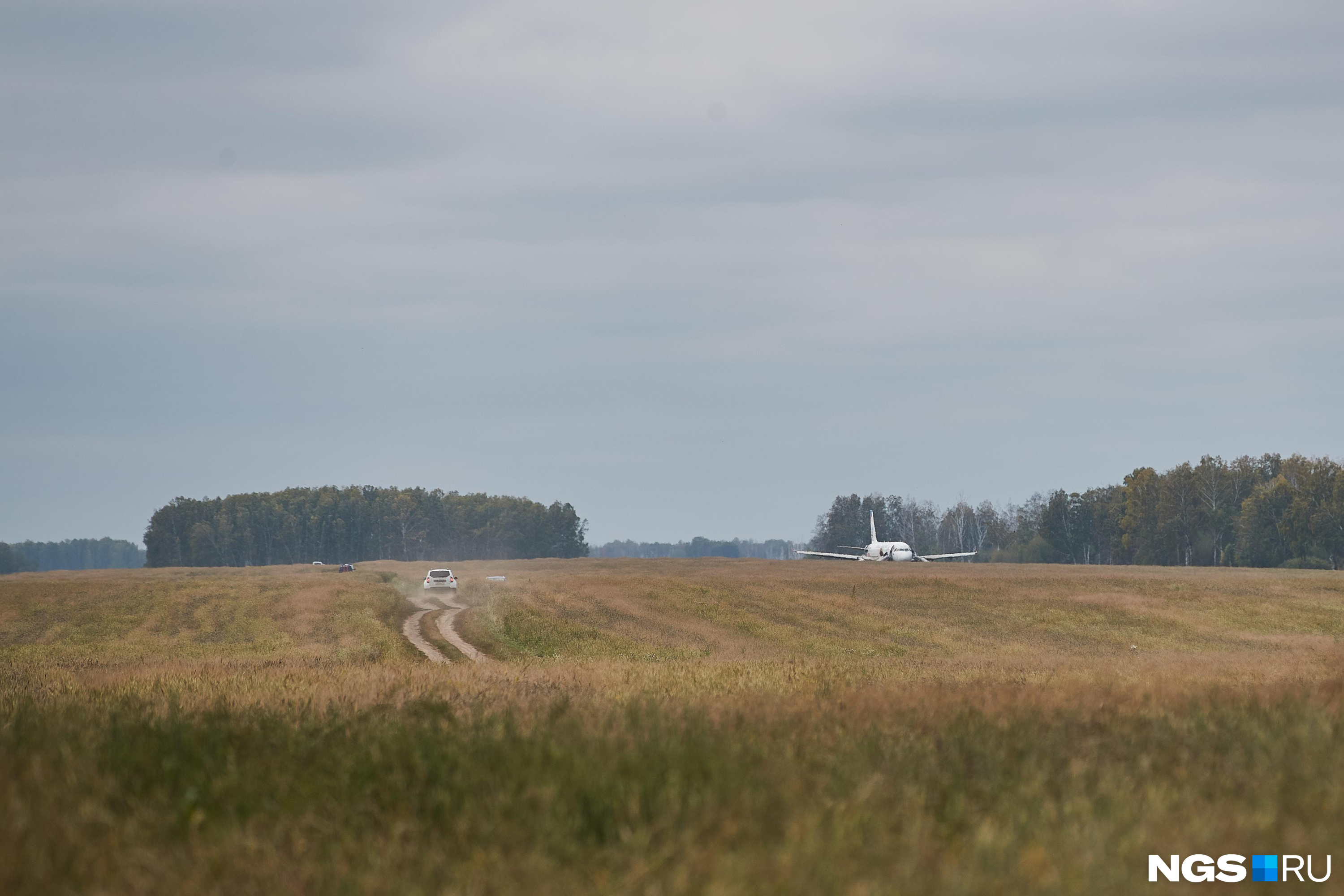 Взлет невозможен». Почему севший в пшеничном поле самолет больше не  поднимется в небо — мнения экспертов | 13.01.2024 | Архангельск - БезФормата