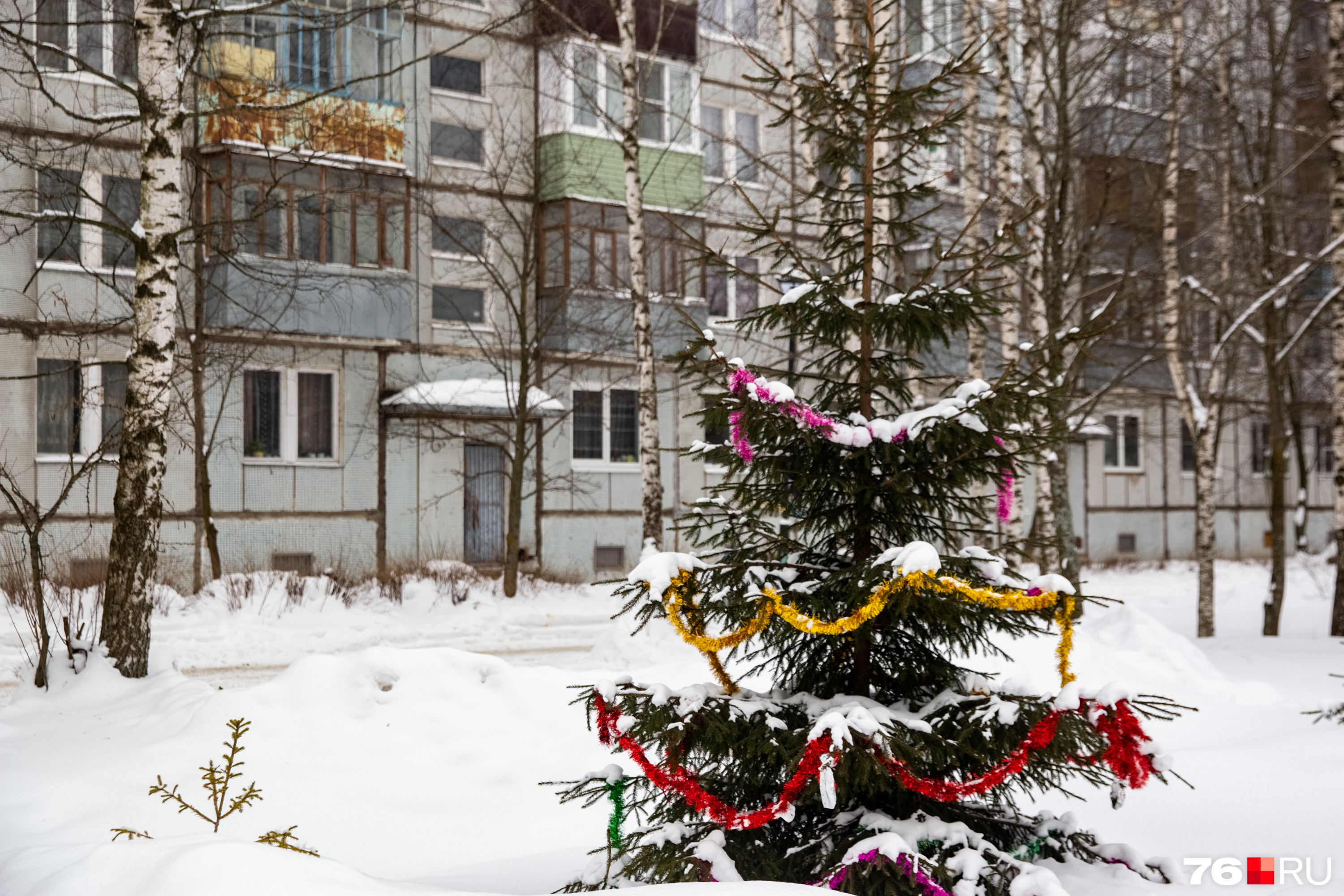 Депрессивные панельные дворы: гуляем по забытому району Ярославля между  кладбищем и промзоной | 27.02.2024 | Ярославль - БезФормата