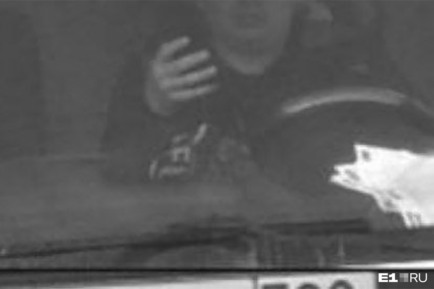 Хитрые камеры массово штрафуют водителей Екатеринбурга за разговоры по мобильнику