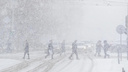Метели, снег и -23 градуса: в Новосибирскую область придет похолодание — прогноз на конец декабря и начало января