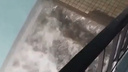 Подъезд многоэтажки в Тольятти превратился в бурный водопад — впечатляющее видео