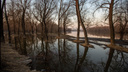 Скоро и до нас дойдет: Волгоградской области угрожает разлив в верховьях Медведицы