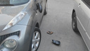 Вандал арматурой разбил пять машин во дворе на Дуси Ковальчук — видео, где он сносит зеркало с автомобиля