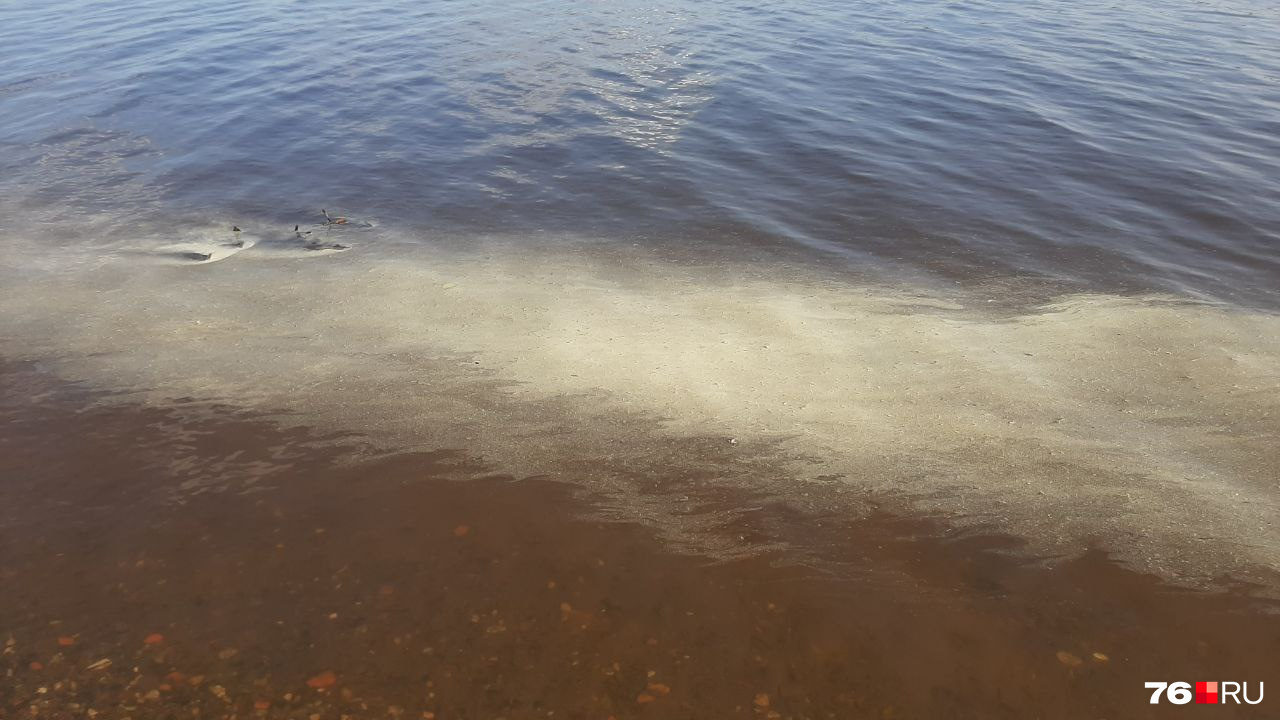 Темпера воды в волге